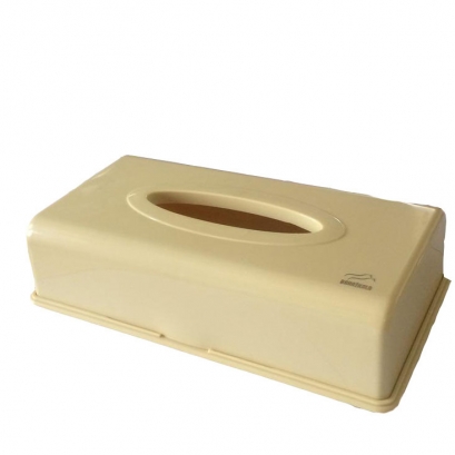 Cream Tissue Box